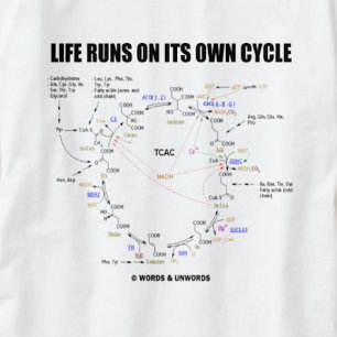Life Runs On Its Own Cycle (Krebs Cycle - TCAC) T-Shirt