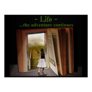 Life, the adventure continues poster