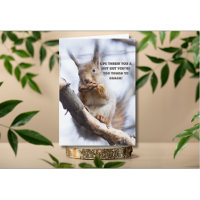 Life Threw You A Nut Cute Squirrel Get Well