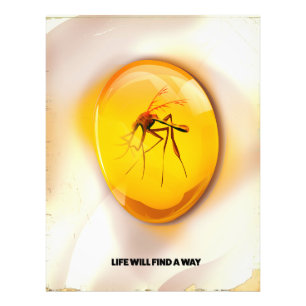 Life will find a way photo print