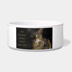 Life without cats? I don’t think so! custom funny