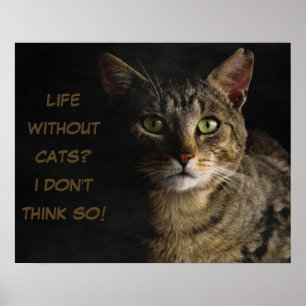 Life without cats? I don’t think so! custom funny Poster