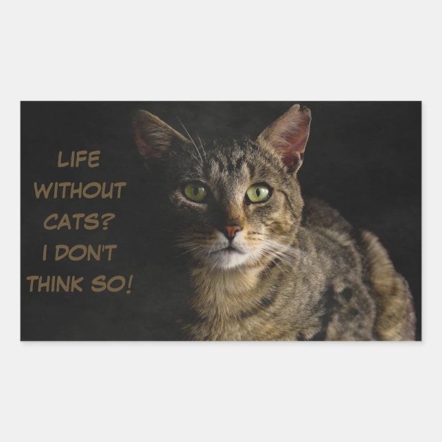 Life without cats? I don’t think so! custom funny Sticker (Front)
