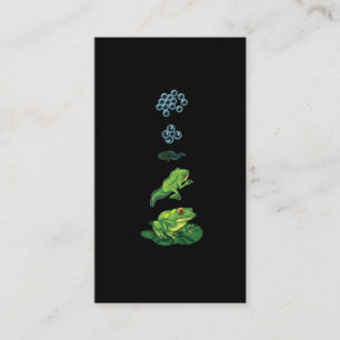 Lifecycle Frog Metamorphosis Egg Tadpole Froglet Business Card