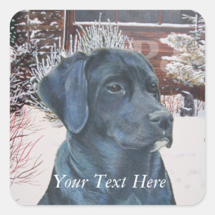 lifelike portrait picture of black labrador dog square sticker