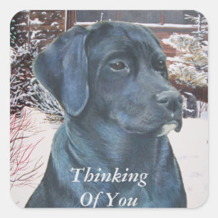 lifelike portrait picture of black labrador dog square sticker