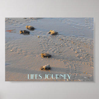 lifes journey sea turtles poster
