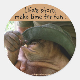 Life's short;, make time for fun classic round sticker