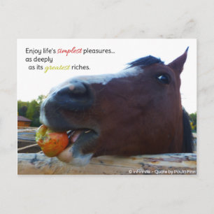 Life's simplest pleasures... postcard
