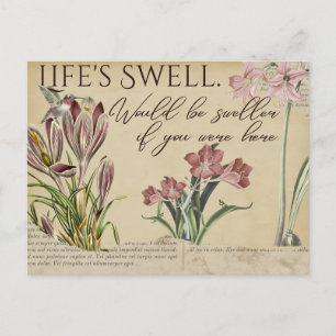 Life's Swell Hummingbird Vintage-Style Postcards