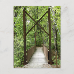 Life's Transitions Postcard