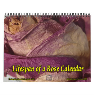 Lifespan of a Rose Calendar