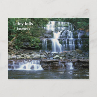 Liffey falls, Tasmania Postcard