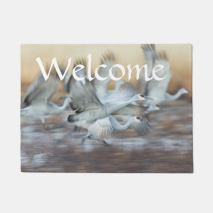 Lift off of Sandhill Cranes Doormat