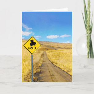 Lift Up Your Eyes For Pigs May Fly Card