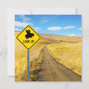 Lift Up Your Eyes For Pigs May Fly Card