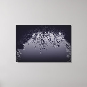 Light and darkness canvas print
