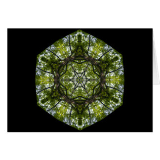 Light  And Pattern In The Leaves