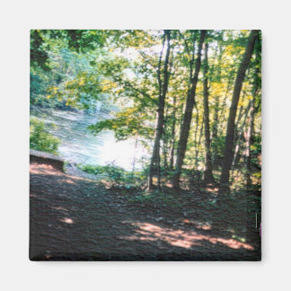 Light and Shadows 2 Magnet