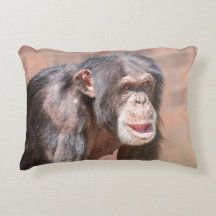 Light and Stillness – Chimpanzee Stance