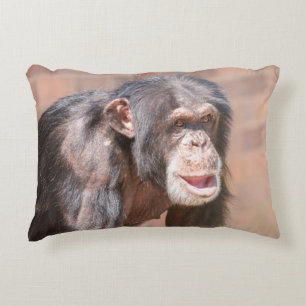Light and Stillness – Chimpanzee Stance Accent Pillow