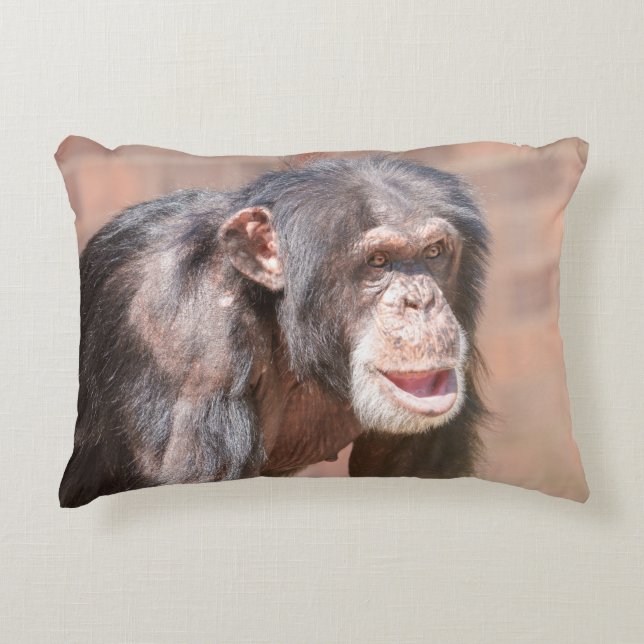 Light and Stillness – Chimpanzee Stance Accent Pillow (Front)