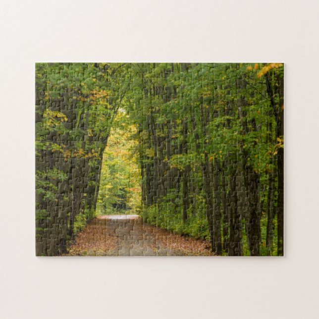 Light At The End Of A Tunnel Of Trees Jigsaw Puzzle (Horizontal)