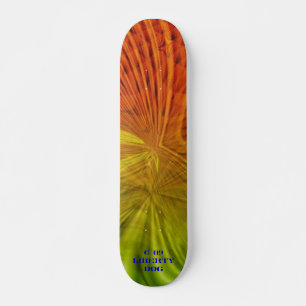 LIGHT BEAMS NEON PRO SKATEBOARD FUN KIDS