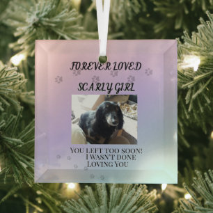 Light Beyond the Rainbow Tribute Glass Ornament