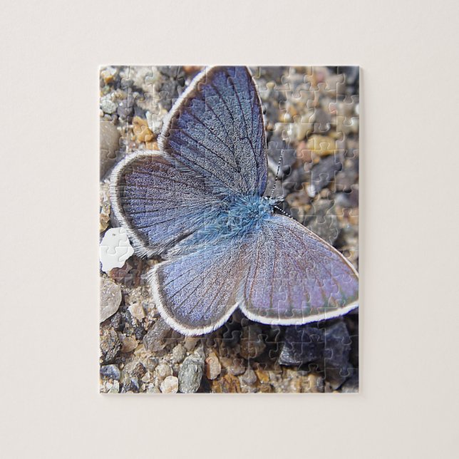 Light blue butterfly jigsaw puzzle (Vertical)