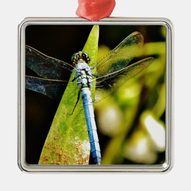 Light Blue Dragonfly Metal Ornament (Front)