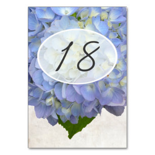 Light Blue Floral Wedding Table Number Cards