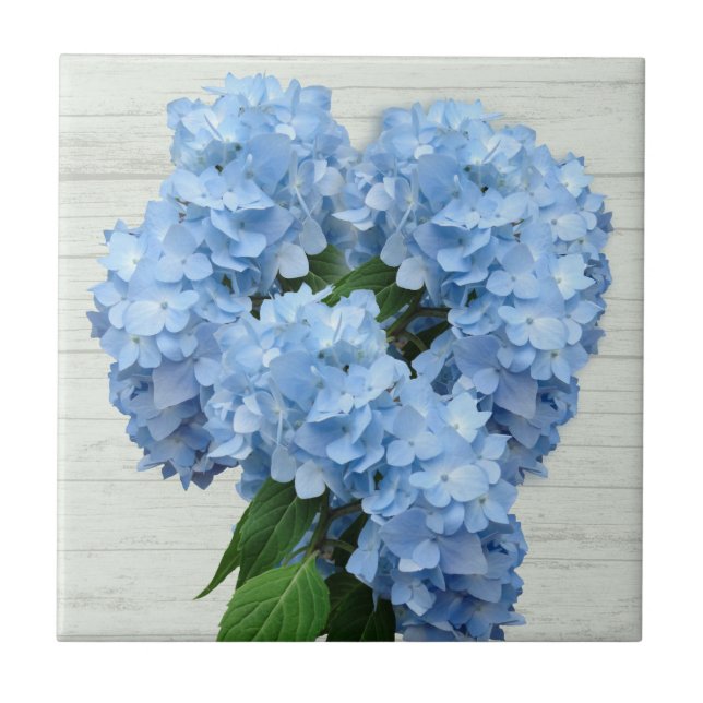 Light Blue Hydrangea Flowers  Tile (Front)