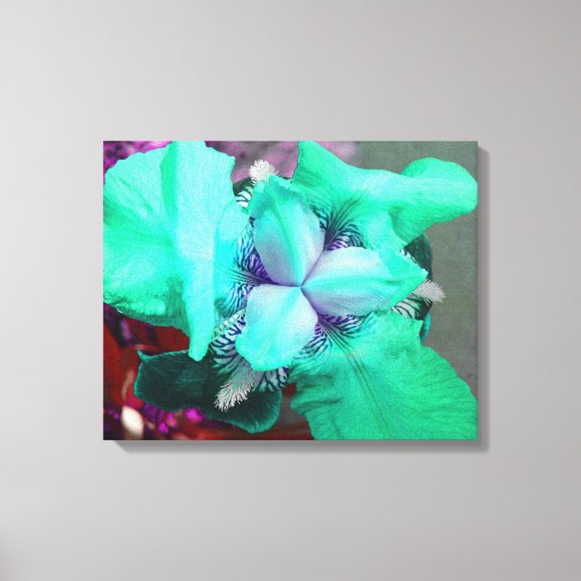 Light Blue Iris Canvas Print (Front)