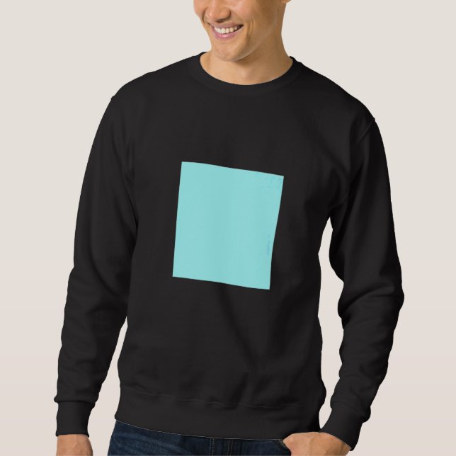 Light Blue Turquoise Solid Colour Simple Colour Pl Sweatshirt (Front)