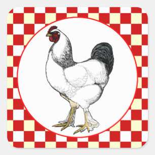 Light Brahma Rooster Chicken Restaurant Square Sticker
