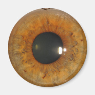 Light brown eye magnet