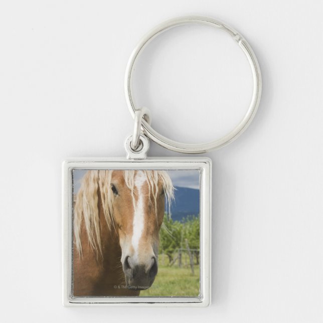 Light Brown Horse Keychain (Front)