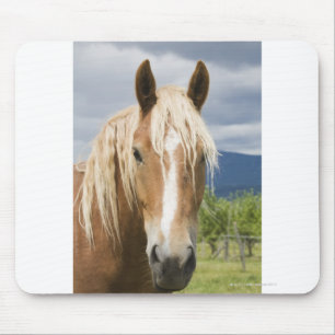 Light Brown Horse Mouse Pad