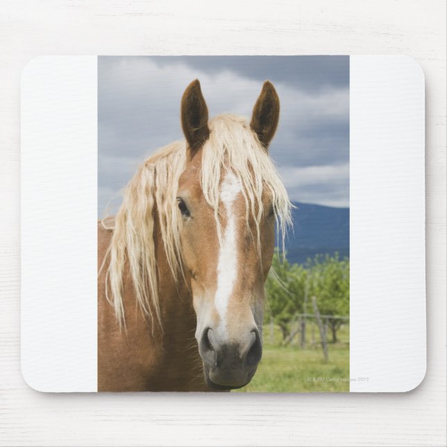 Light Brown Horse Mouse Pad (Front)