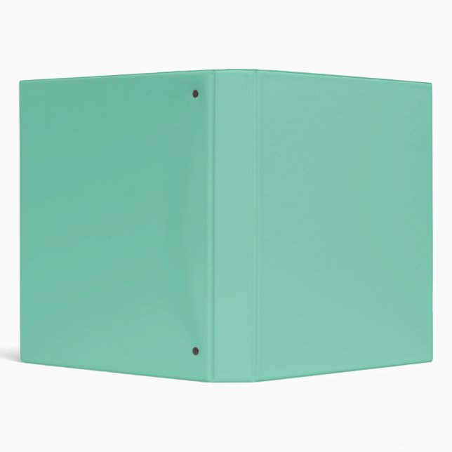 Light Coastal Green Solid Colour Binder (Background)