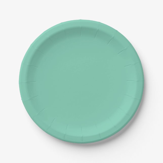 Light Coastal Green Solid Colour Paper Plate (Front)