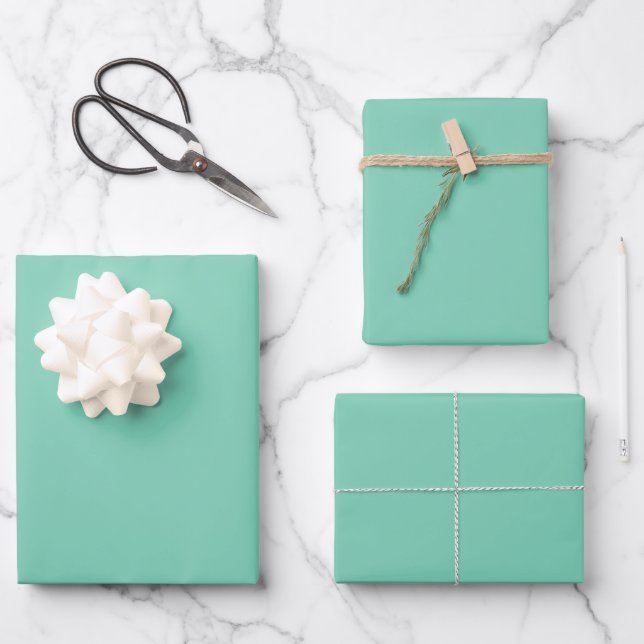 Light Coastal Green Solid Colour Wrapping Paper Sheet (Front)