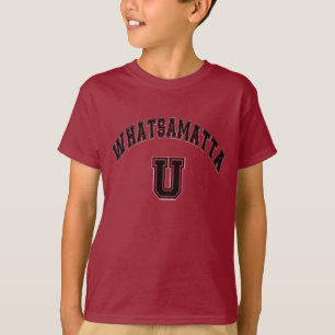 Light Distressed Whatsamatta U Awesome and Funny T-Shirt