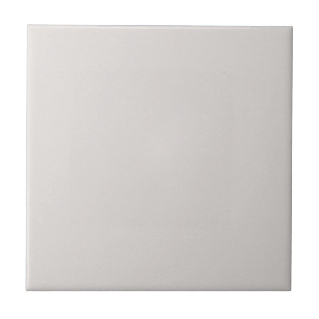 Light Dove Grey Solid Flecked Ceramic Tile (Front)