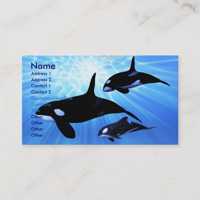 LIGHT ECHO BUSINESS CARD (Front)