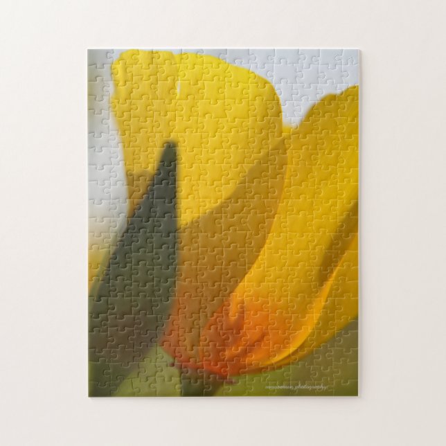 Light Filled Poppy Jigsaw Puzzle (Vertical)