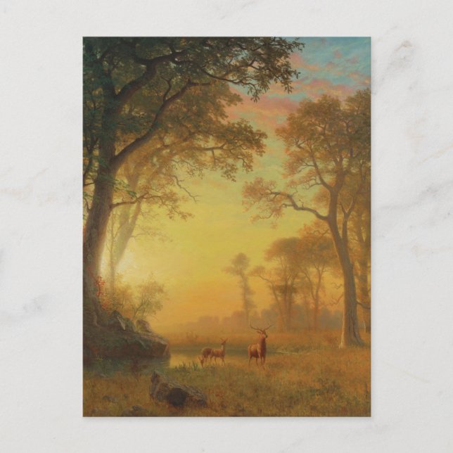 Light in the Forest by Albert Bierstadt Postcard (Front)