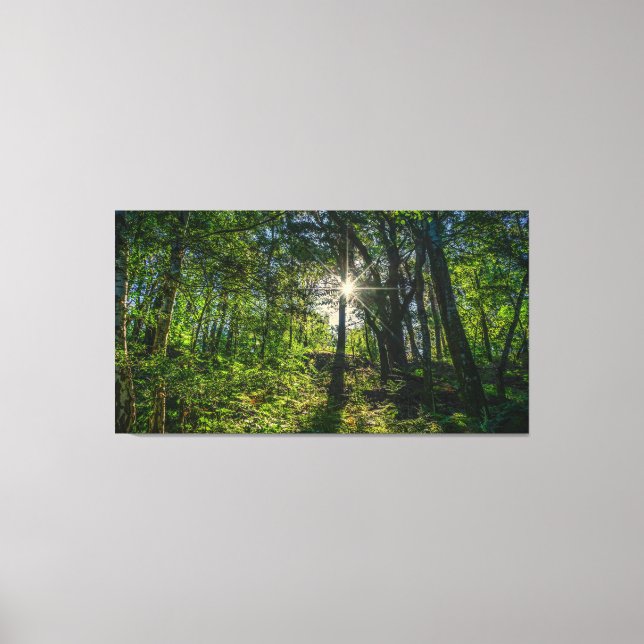 Light in the Forest Canvas Print (Front)
