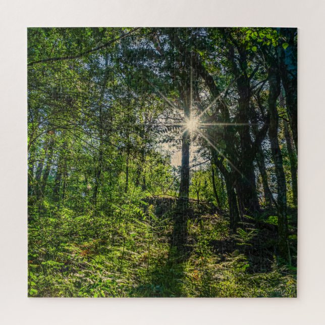 Light in the Forest Jigsaw Puzzle (Vertical)